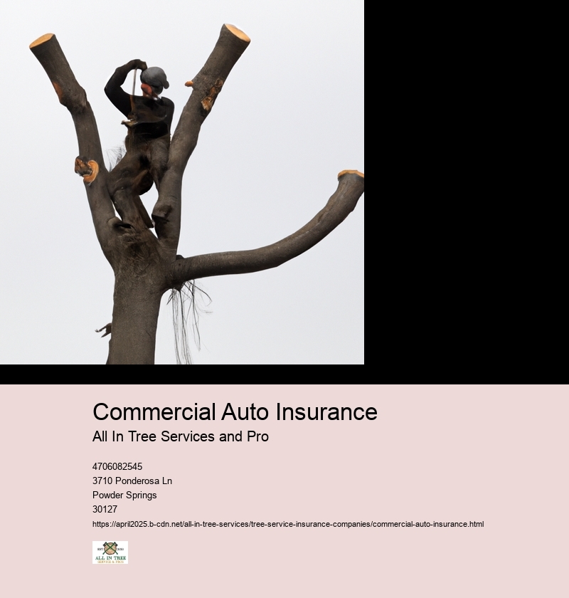 Commercial Auto Insurance