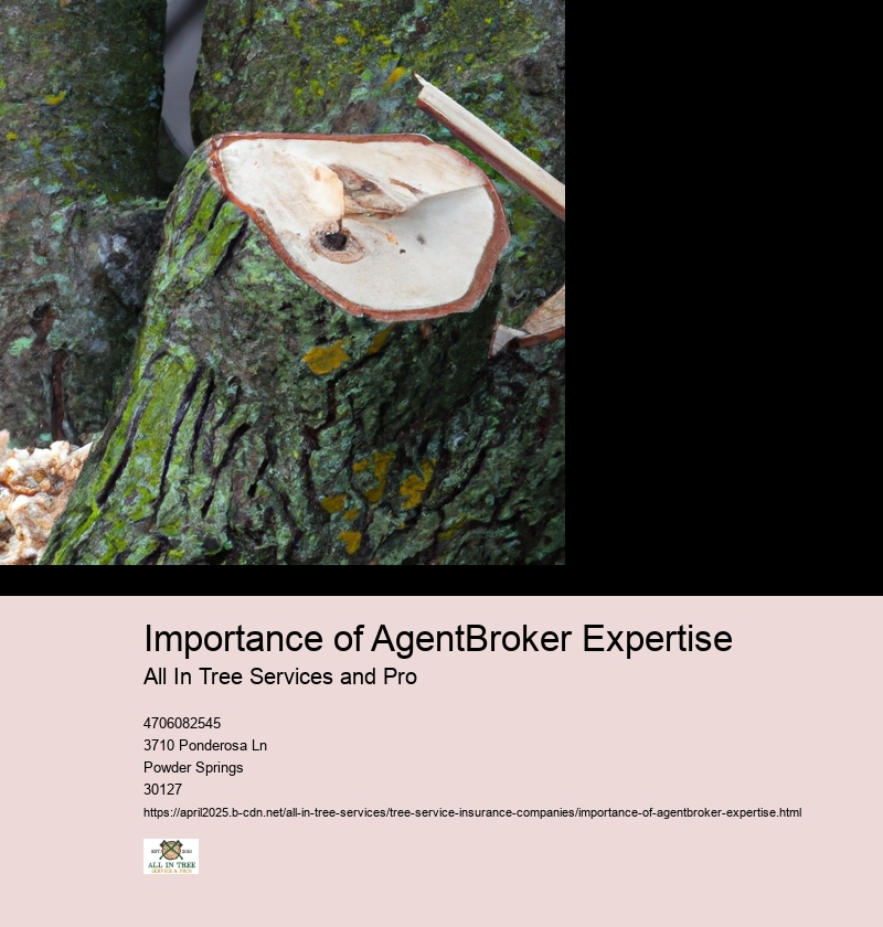 Importance of AgentBroker Expertise