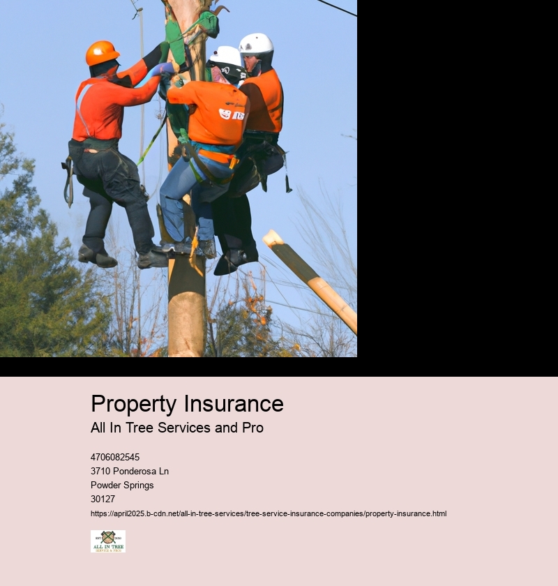 Property Insurance
