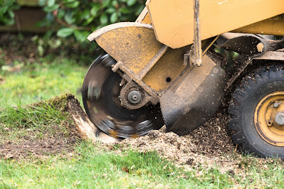 Personal Protective Equipment (PPE) for Tree Pruning