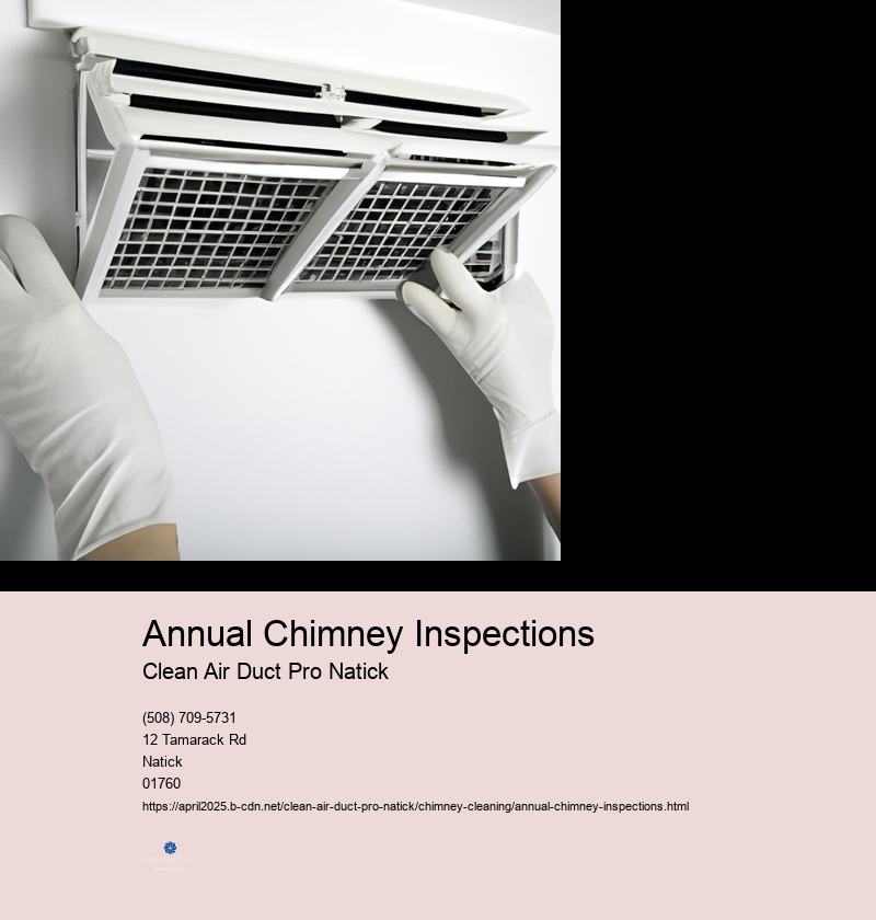 Annual Chimney Inspections