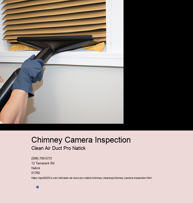 Chimney Camera Inspection