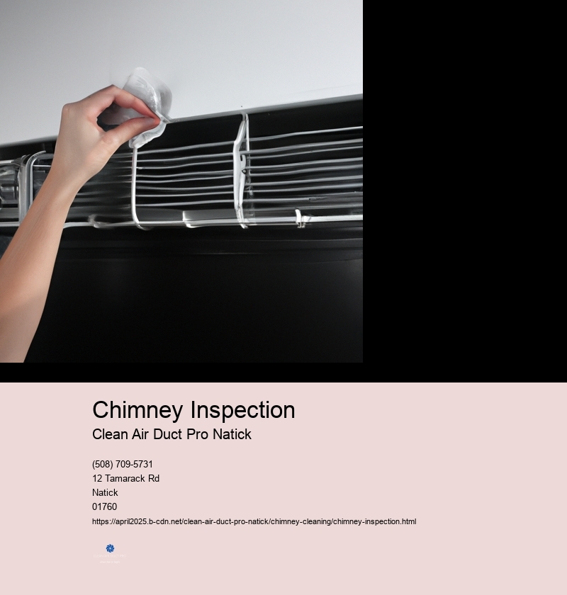 Chimney Inspection