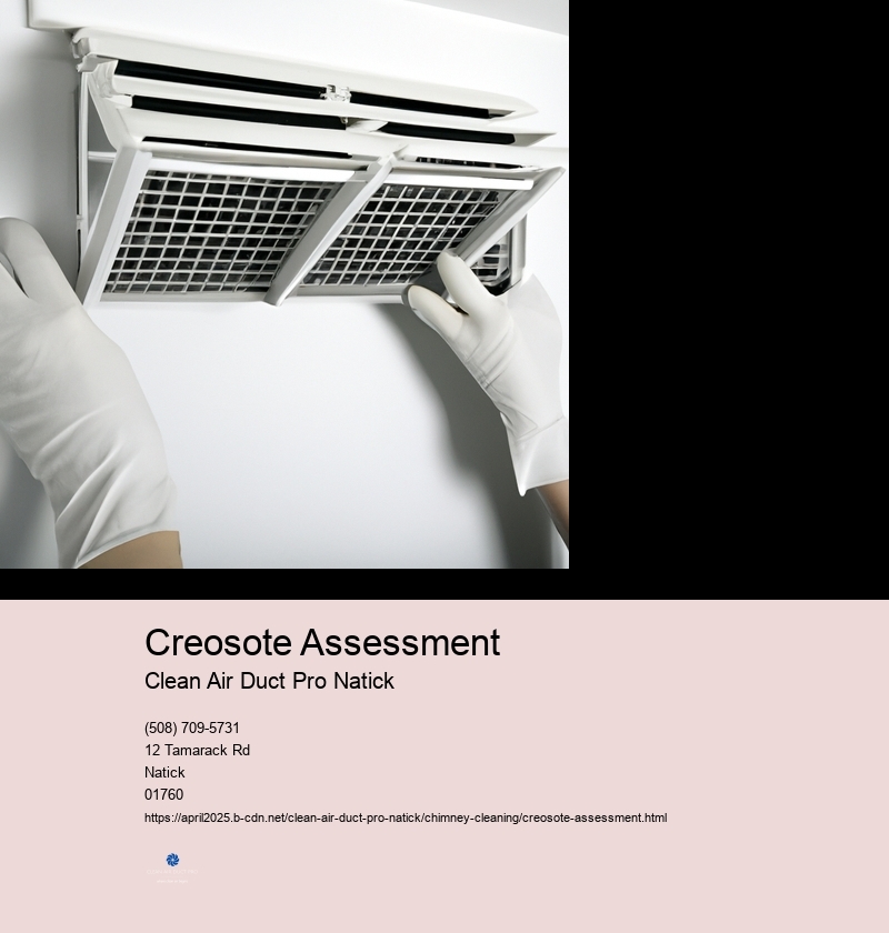 Creosote Assessment