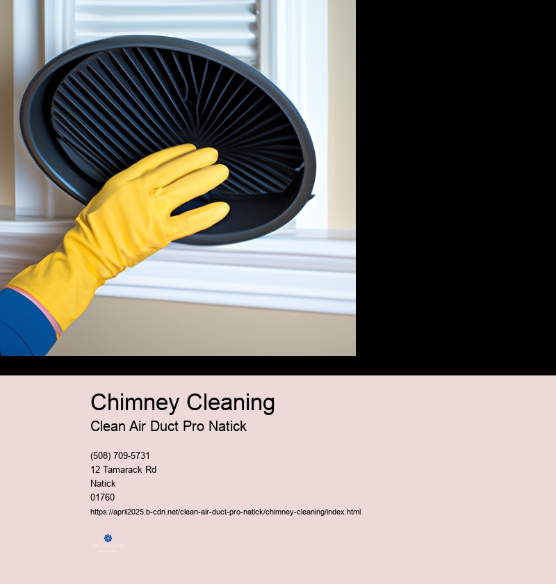 Chimney Cleaning