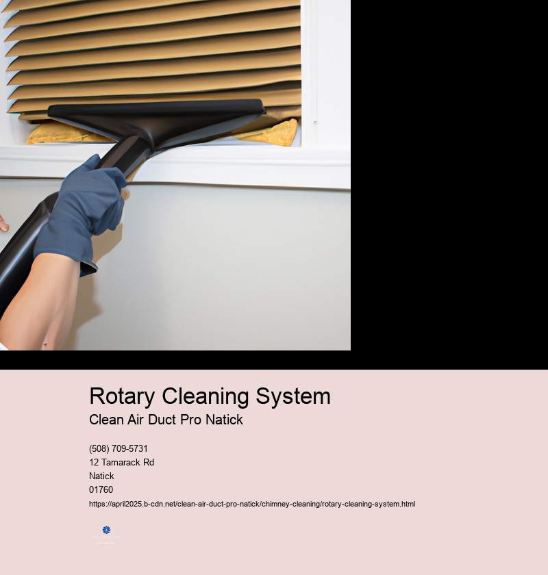 Rotary Cleaning System