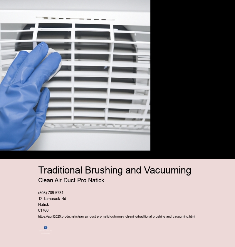 Traditional Brushing and Vacuuming