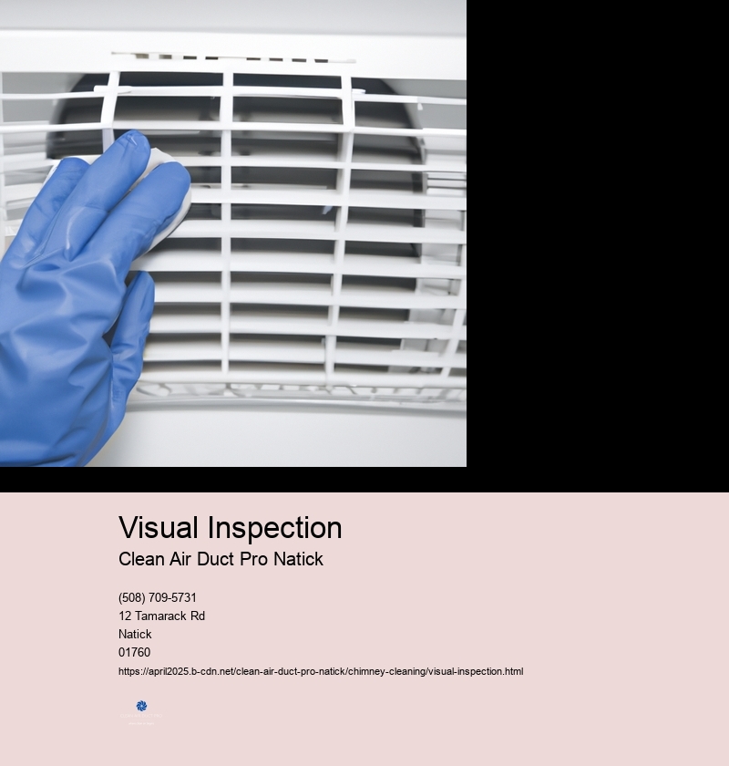 Visual Inspection